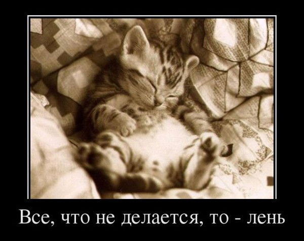 Юлия Бойцова