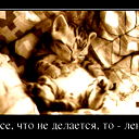 Юлия Бойцова