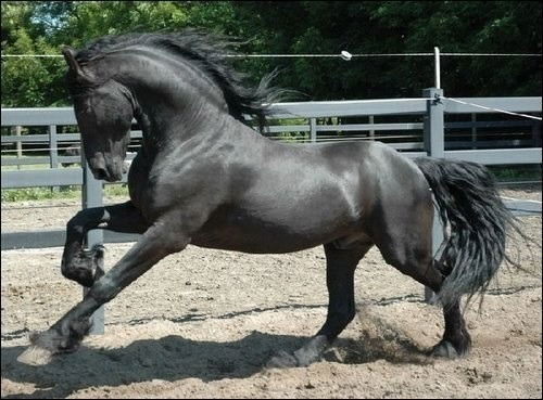 Денис Забудский