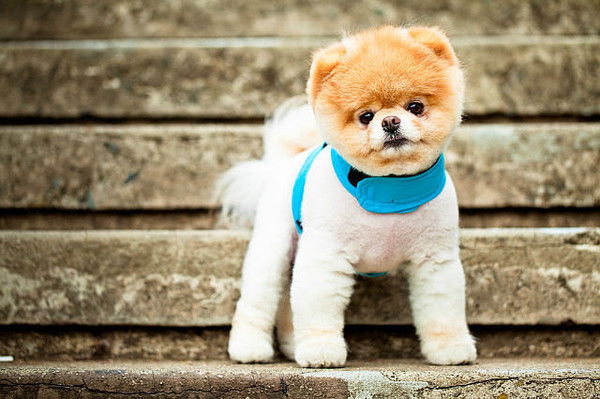 Настюфффка ...