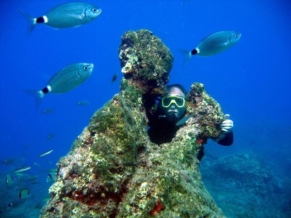 Хахалин Дмитрий