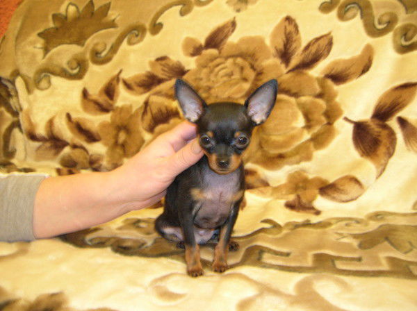 Наталья Игнатьева