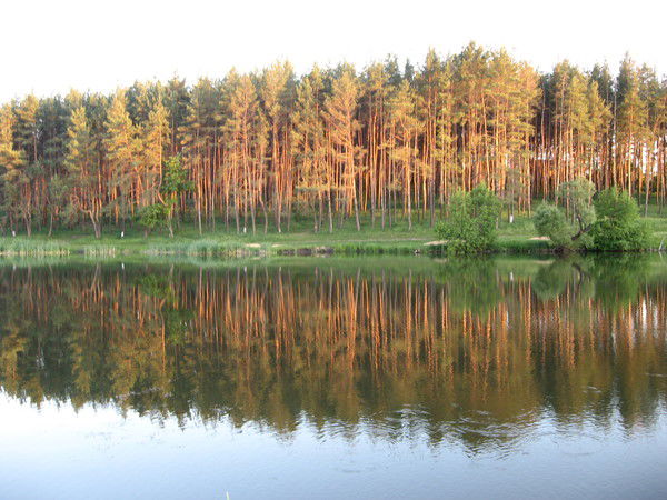 Александр Мозговенко