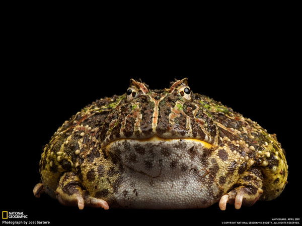 Иванов Федор