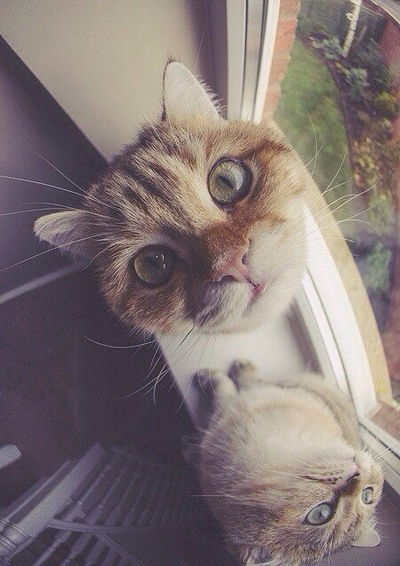 Юра Ситников