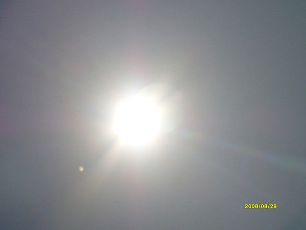 Ксения Логинова