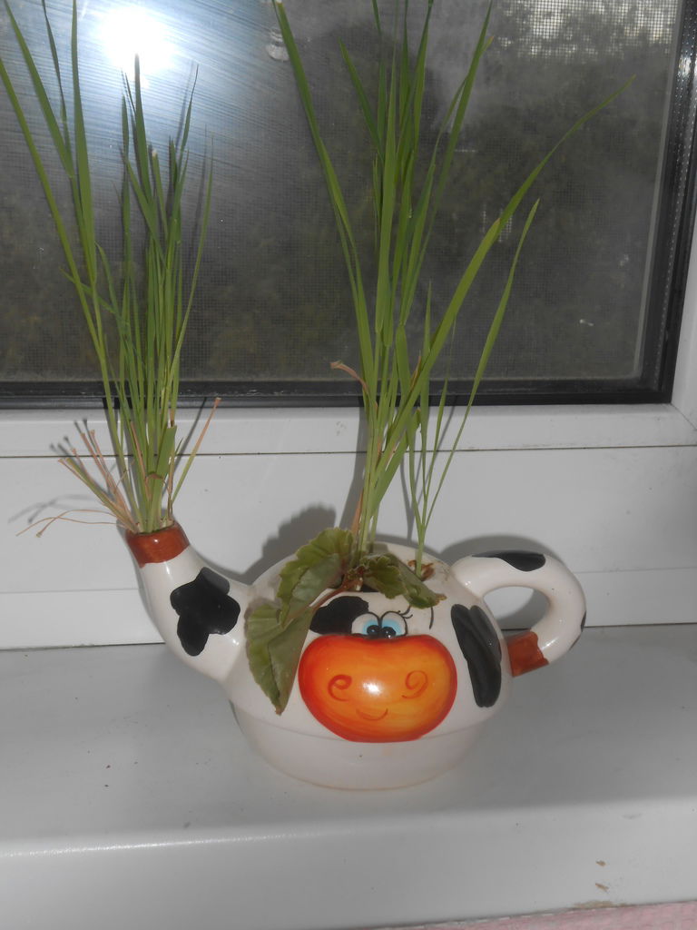 Людмила Куренинова