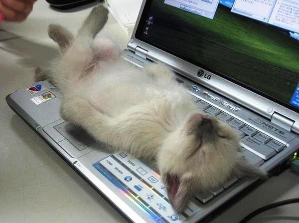 Евгений Джи