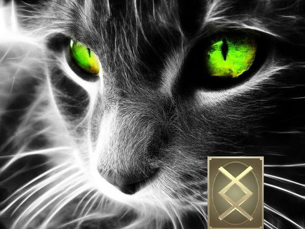 Iz Дмитрий Серых Бик