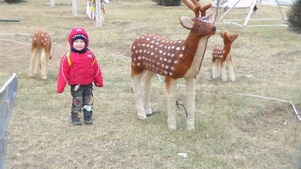 Жайнагул Алтыбаева