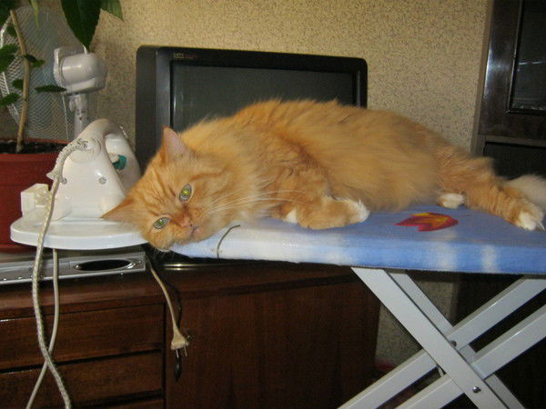 Крылова Елена