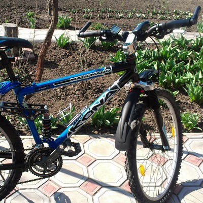 Жека Воронков