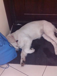 Настя Симонэ