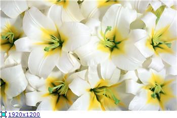 Эльмира Ердакова