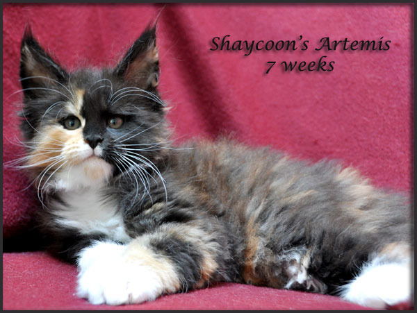 Татьяна Умарова