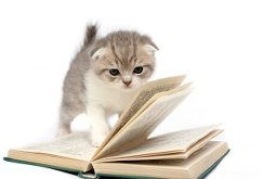 Валентина Грушина