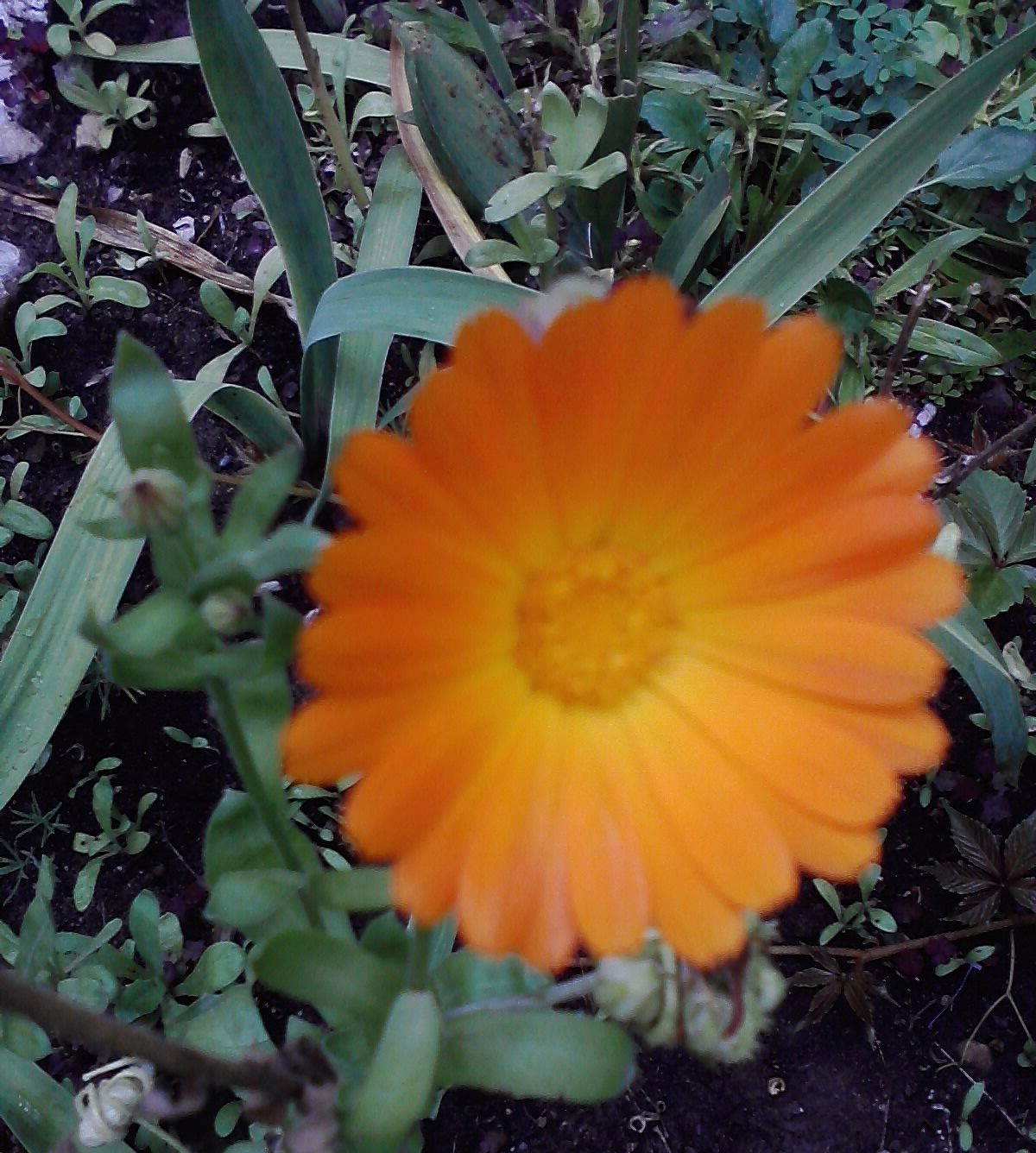 татьяна помадова