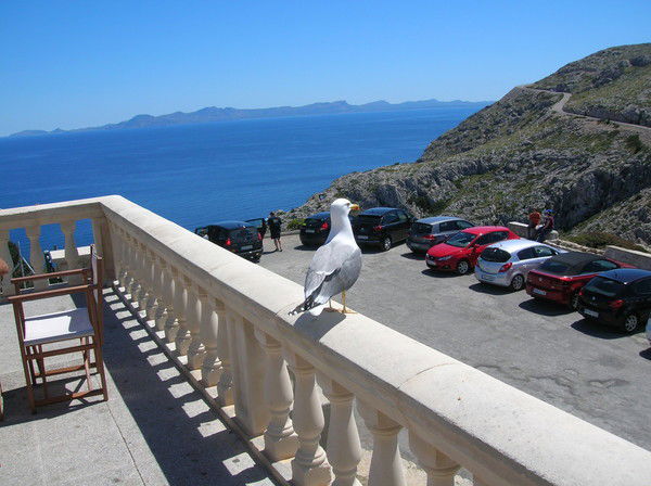 Татьяна Болотова