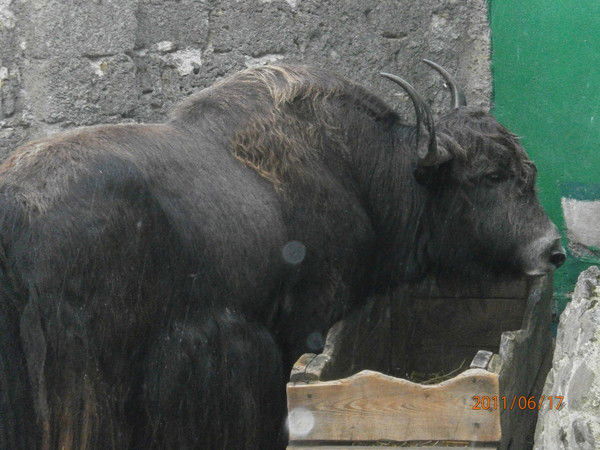 Пантелеев Сергей