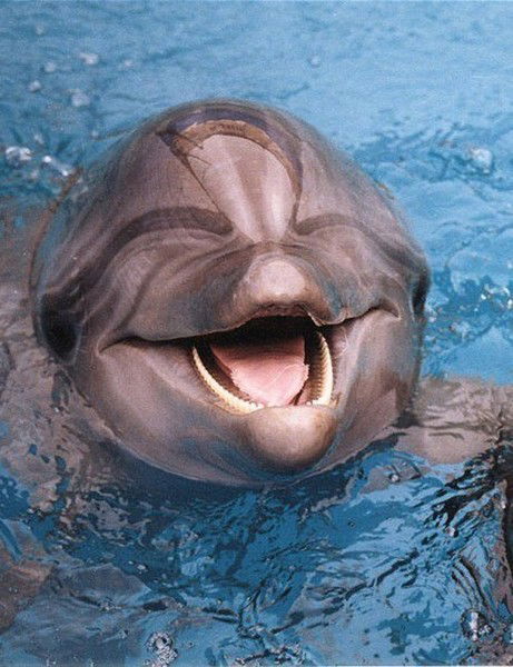 Сергей Смирнов