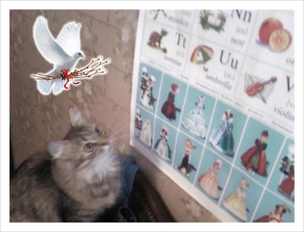 Елена Костюкова