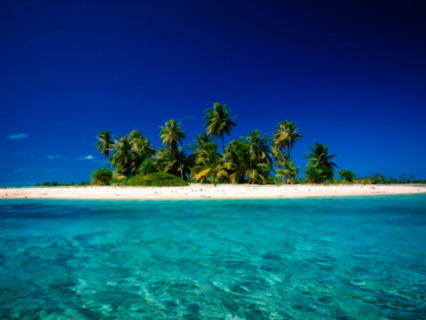 Руслан Литвинов