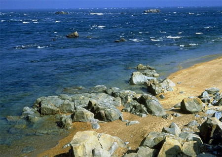 Виктор Смаровоз