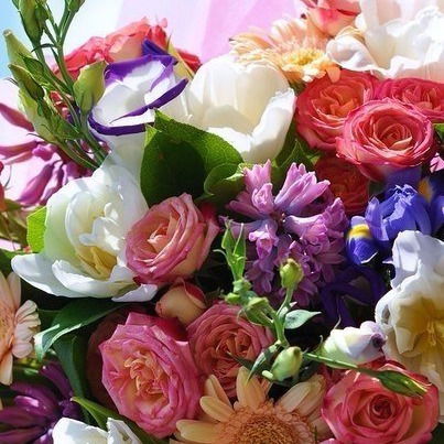 Гульшат Янышева