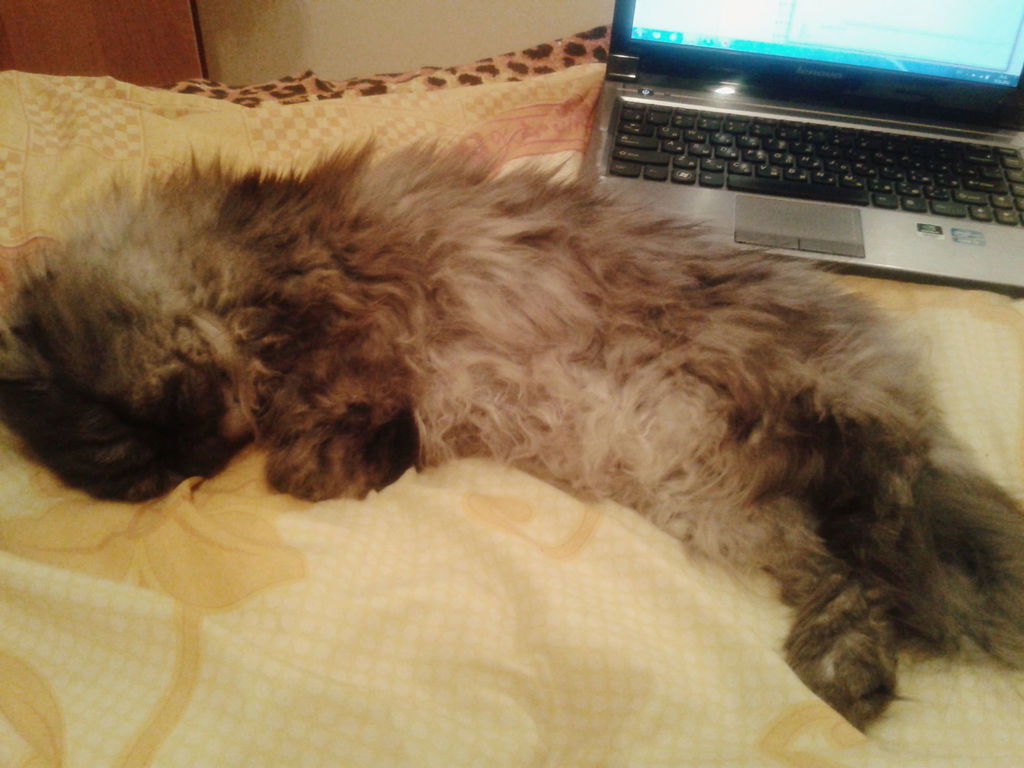 Наталия Бобрулько