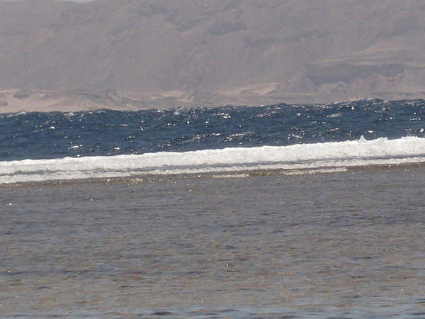 Венера Нургатина