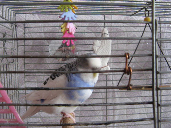 Неизвестно Неизвестно