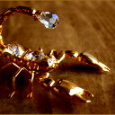 *scorpio* @@
