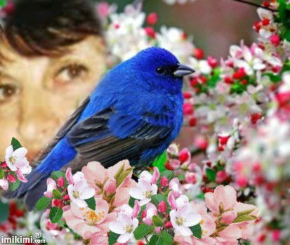 Тамила Загребельная