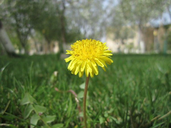 Нелюбящийвзломов Моейпочтывич