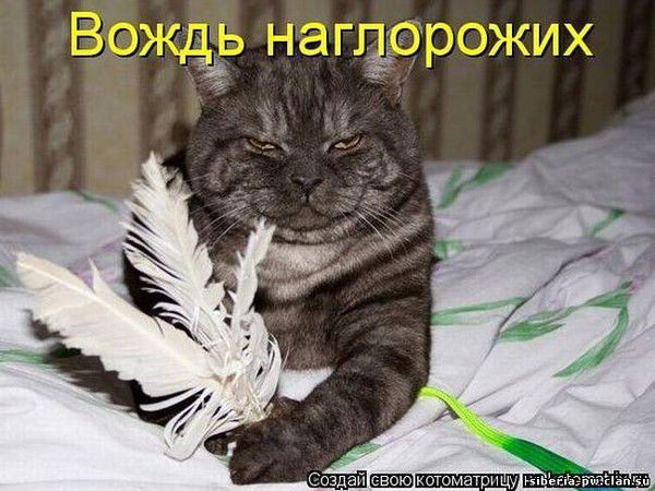 Сергей Крименко