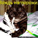 Сергей Крименко
