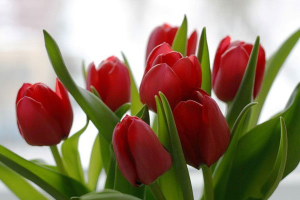 Алтынай Каирбекова