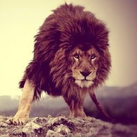 Дмитрий Ломов