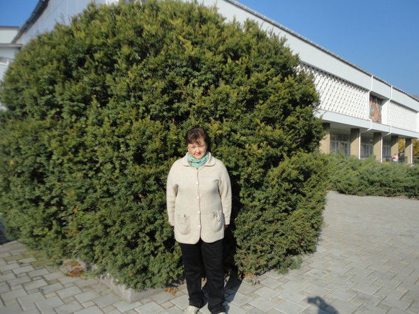 Светлана Сытова