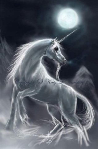 Ооо "янта" Ооо "янта"