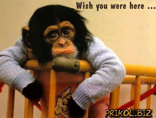 Сергей Кабаков