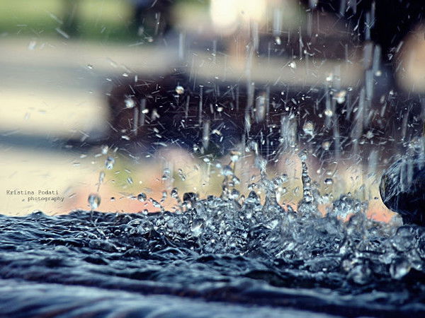 Наталья Петрова