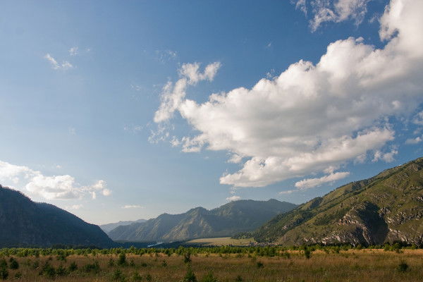 Неизвестно Неизвестно