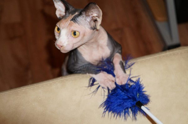 С Уважением, Залескина И.л. 8 (48731) 6-