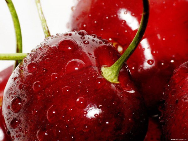 Наталья Валуца