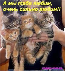 Твой Котёнок