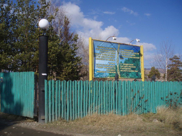 Лесхоз Риддер