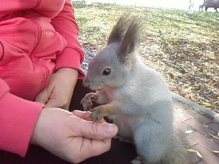 Елена Пучкова