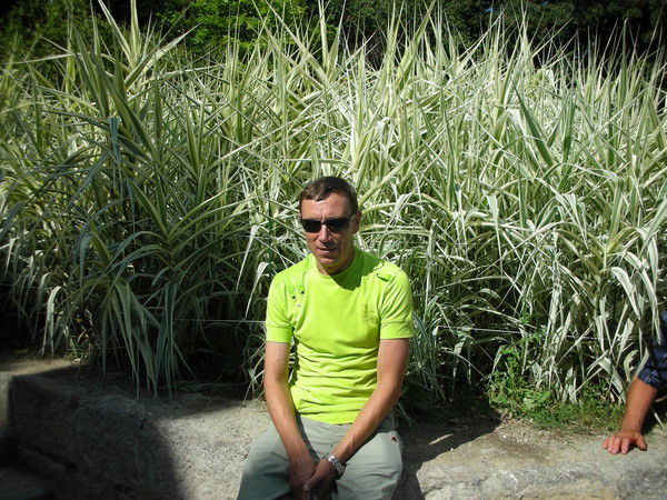 Владимир Хоружий