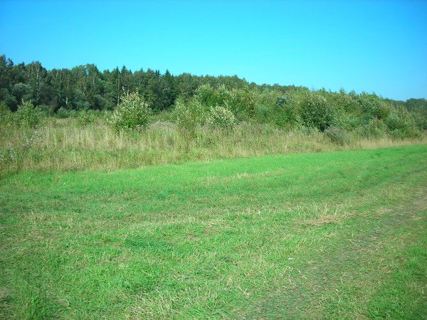 Наталья Пятигорская